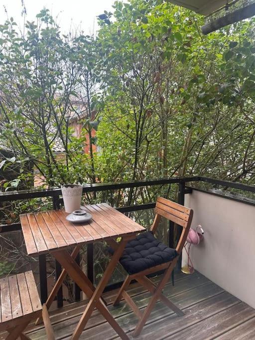 Jardin Des Plantes Parking Securise Terrasse Et Ascenseur Apartment Toulouse Bagian luar foto