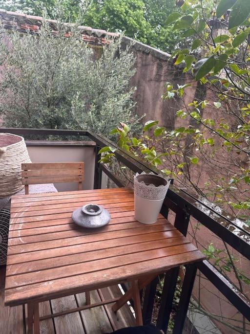 Jardin Des Plantes Parking Securise Terrasse Et Ascenseur Apartment Toulouse Bagian luar foto
